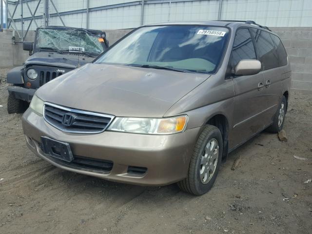 5FNRL18093B006474 - 2003 HONDA ODYSSEY EX GOLD photo 2