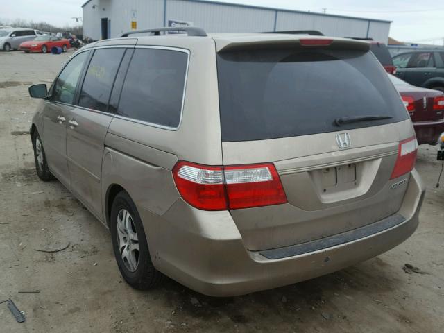 5FNRL38455B425004 - 2005 HONDA ODYSSEY EX GOLD photo 3