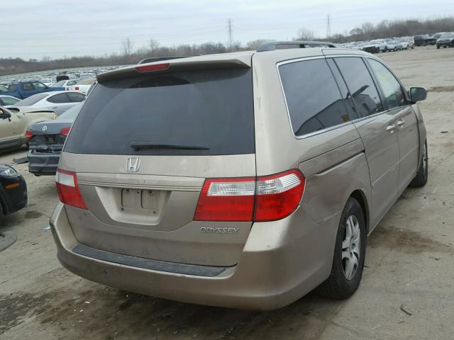 5FNRL38455B425004 - 2005 HONDA ODYSSEY EX GOLD photo 4