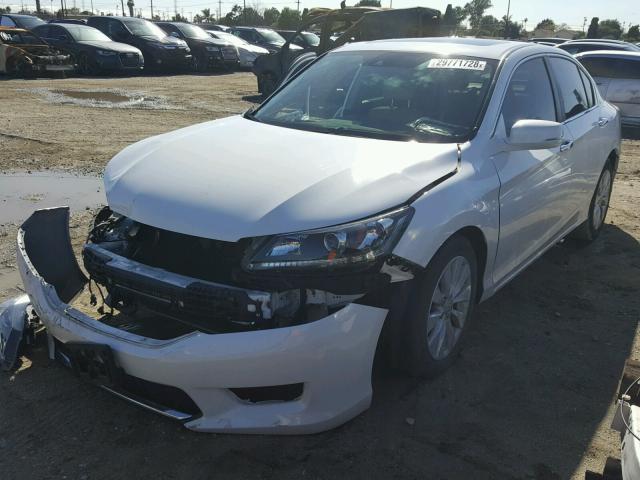 1HGCR2F83FA175374 - 2015 HONDA ACCORD EXL WHITE photo 2