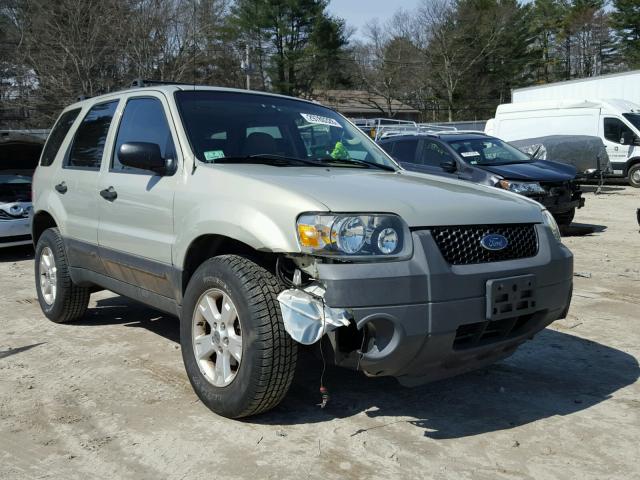 1FMYU03195DA13675 - 2005 FORD ESCAPE XLT BEIGE photo 1