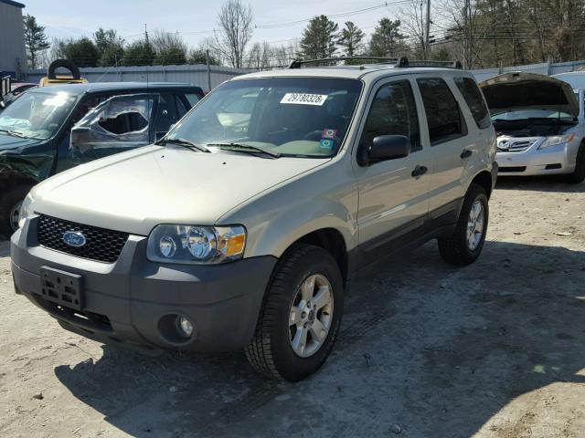 1FMYU03195DA13675 - 2005 FORD ESCAPE XLT BEIGE photo 2