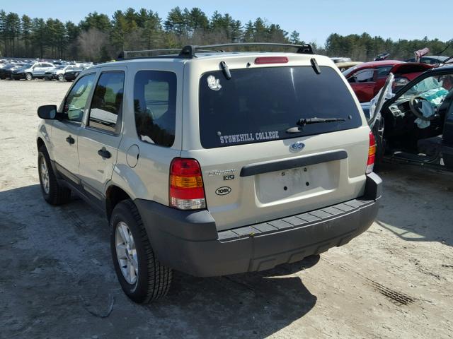 1FMYU03195DA13675 - 2005 FORD ESCAPE XLT BEIGE photo 3