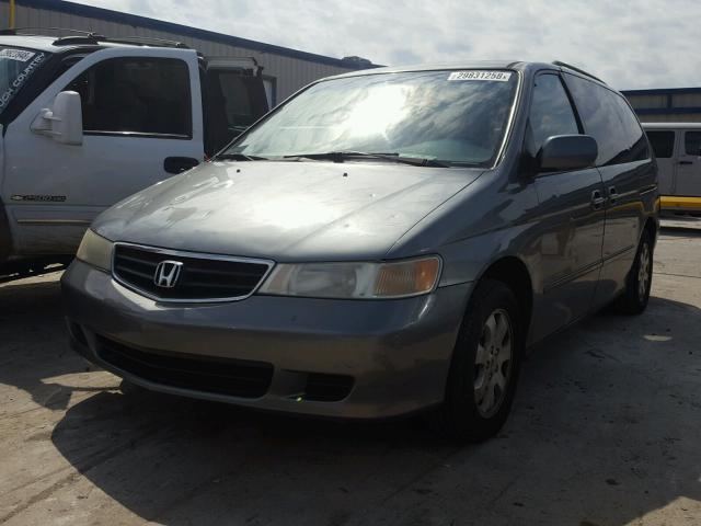 2HKRL18982H517916 - 2002 HONDA ODYSSEY EX GRAY photo 2