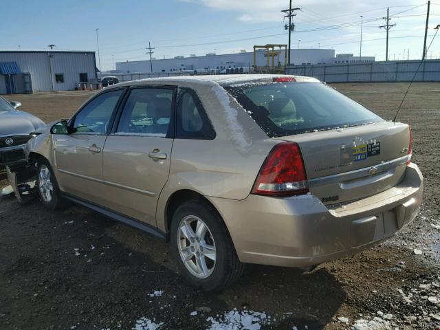 1G1ZT62805F255068 - 2005 CHEVROLET MALIBU MAX 棕色 照片 3