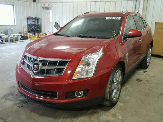 3GYFNBEY1BS553221 - 2011 CADILLAC SRX PERFOR MAROON photo 2