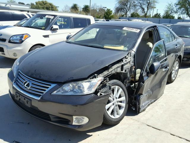 JTHBK1EG0B2435752 - 2011 LEXUS ES 350 GRAY photo 2