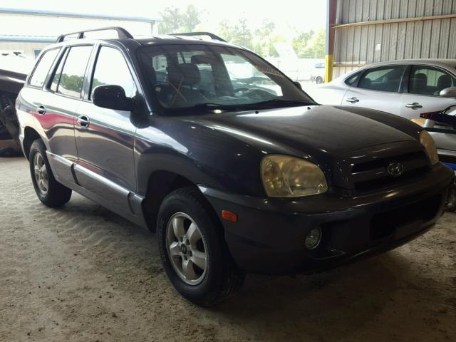 KM8SC73D65U963357 - 2005 HYUNDAI SANTA FE G BLUE photo 1