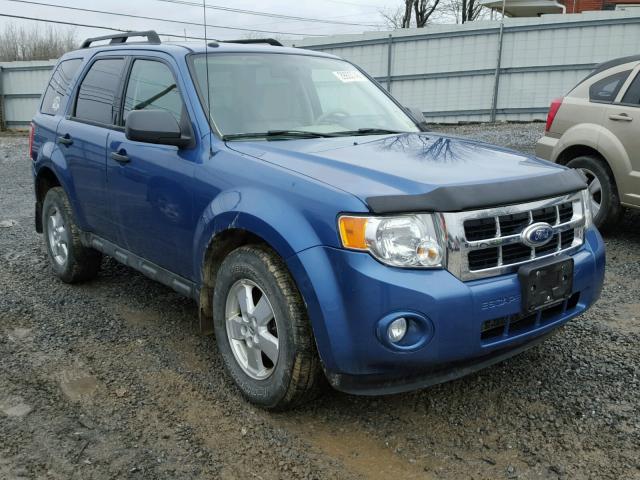 1FMCU9DG0AKC29311 - 2010 FORD ESCAPE XLT BLUE photo 1