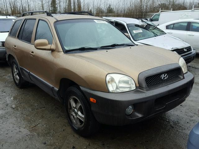 KM8SC13D13U484306 - 2003 HYUNDAI SANTA FE G GOLD photo 1