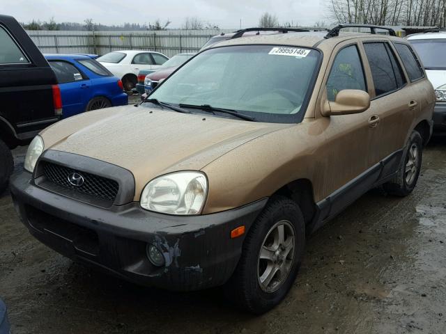 KM8SC13D13U484306 - 2003 HYUNDAI SANTA FE G GOLD photo 2