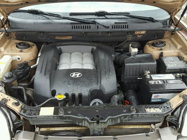 KM8SC13D13U484306 - 2003 HYUNDAI SANTA FE G GOLD photo 7