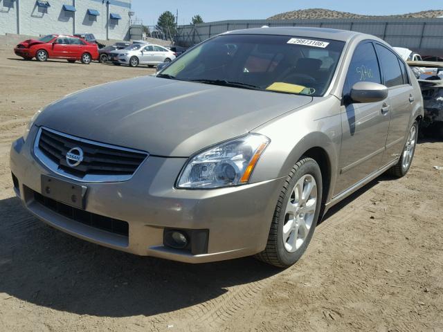 1N4BA41E98C809178 - 2008 NISSAN MAXIMA SE TAN photo 2