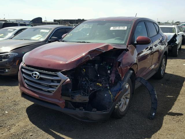 KM8J23A44GU122117 - 2016 HYUNDAI TUCSON SE MAROON photo 2