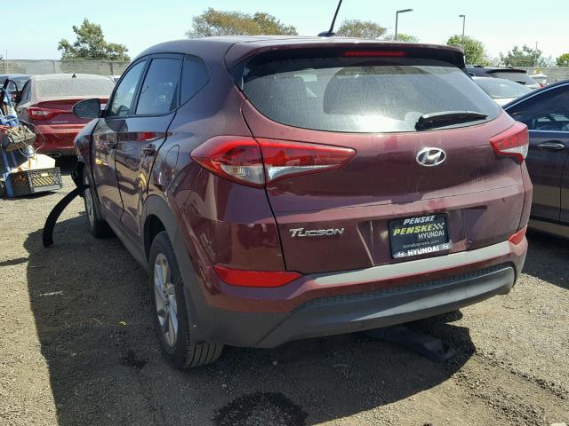 KM8J23A44GU122117 - 2016 HYUNDAI TUCSON SE MAROON photo 3