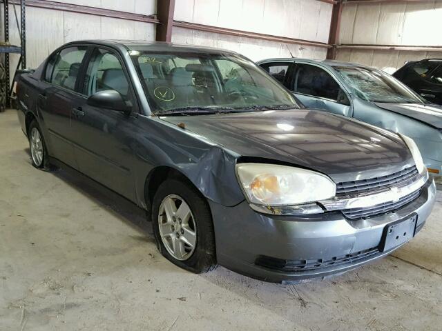 1G1ZT54845F173027 - 2005 CHEVROLET MALIBU LS GRAY photo 1
