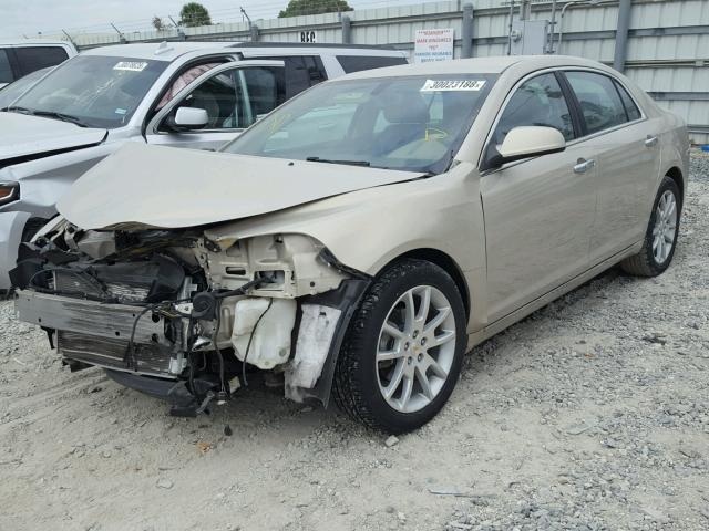 1G1ZE5E76BF376156 - 2011 CHEVROLET MALIBU LTZ 金色 照片 2