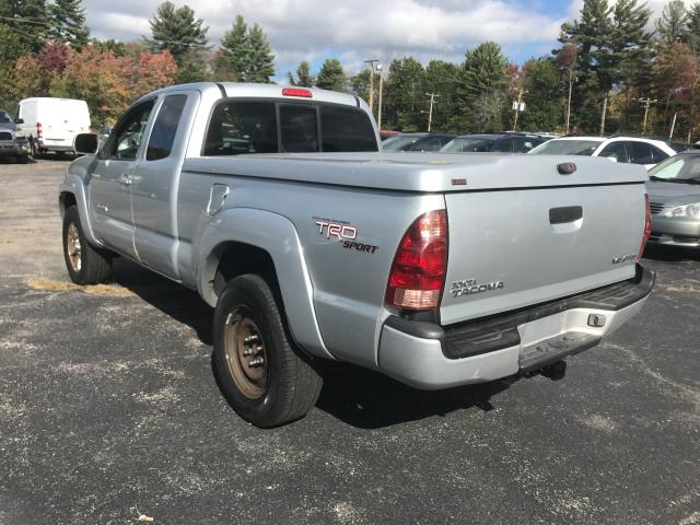 5TEUU42N65Z016636 - 2005 TOYOTA TACOMA ACC SILVER photo 3