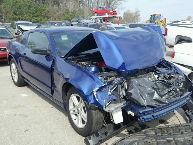 1ZVBP8AM1E5228729 - 2014 FORD MUSTANG BLUE photo 1