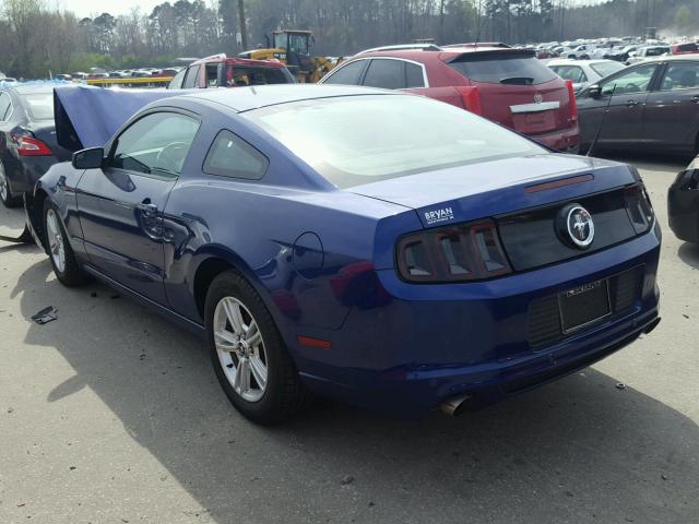 1ZVBP8AM1E5228729 - 2014 FORD MUSTANG BLUE photo 3