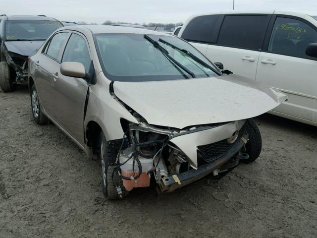 2T1BU4EE0AC255005 - 2010 TOYOTA COROLLA BA TAN photo 1