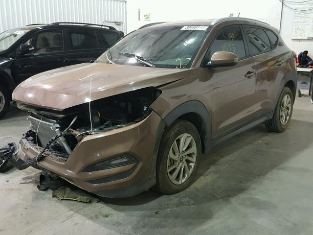 KM8J33A45GU026705 - 2016 HYUNDAI TUCSON LIM BROWN photo 2