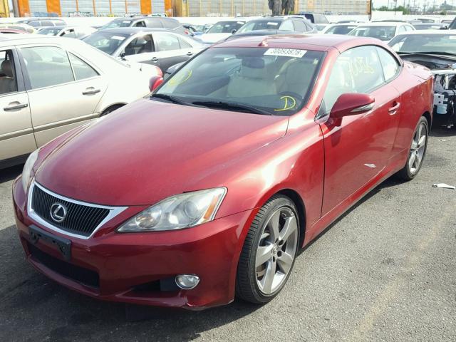 JTHFF2C20A2512556 - 2010 LEXUS IS 250 RED photo 2