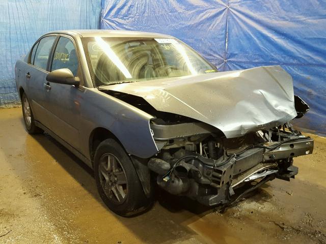 1G1ZT54895F333905 - 2005 CHEVROLET MALIBU LS მწვანე ფოტო 1