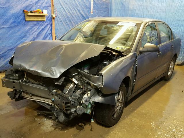 1G1ZT54895F333905 - 2005 CHEVROLET MALIBU LS მწვანე ფოტო 2