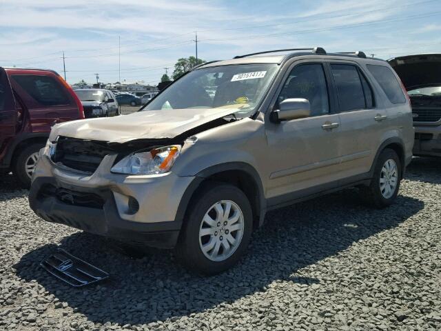 JHLRD78925C046011 - 2005 HONDA CR-V SE GOLD photo 2