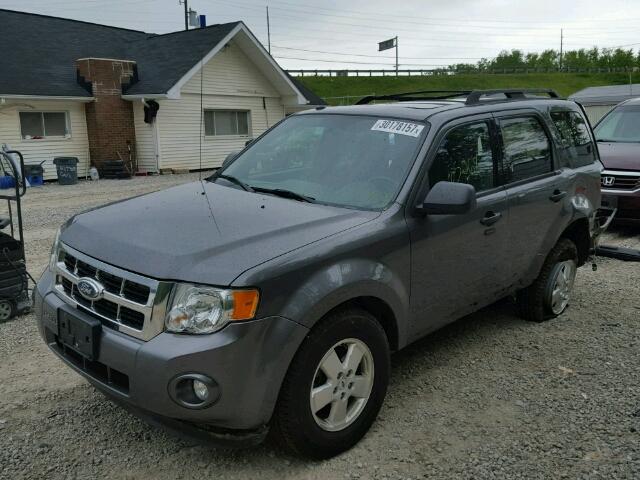 1FMCU0D74BKB83012 - 2011 FORD ESCAPE XLT GRAY photo 2