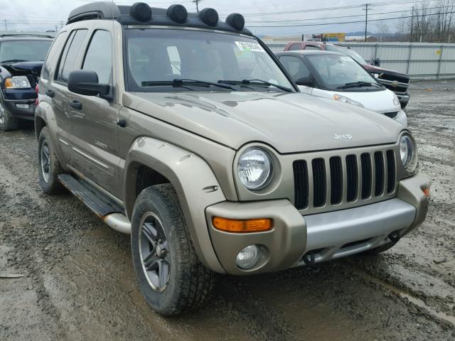 1J4GL38K43W623355 - 2003 JEEP LIBERTY RE TAN photo 1
