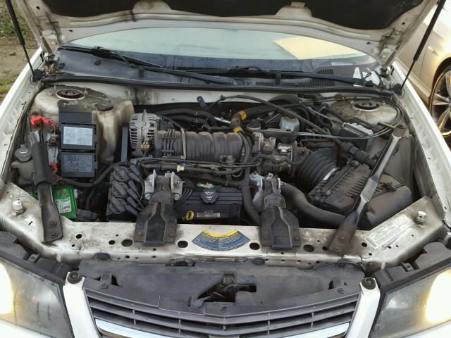 2G1WH55K149272569 - 2004 CHEVROLET IMPALA LS WHITE photo 7