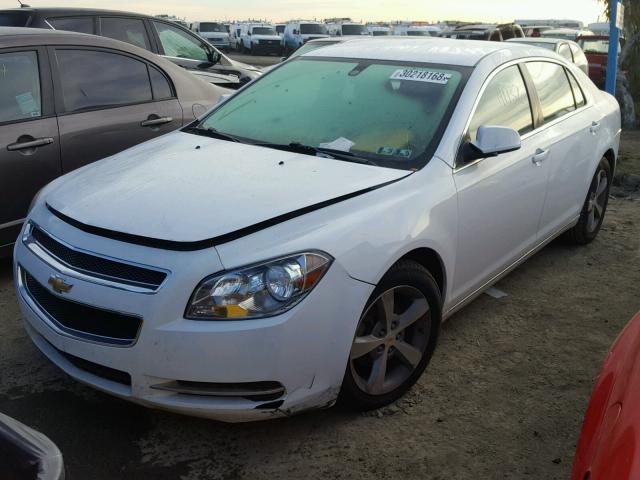 1G1ZC5EU1BF161392 - 2011 CHEVROLET MALIBU 1LT 白色 照片 2