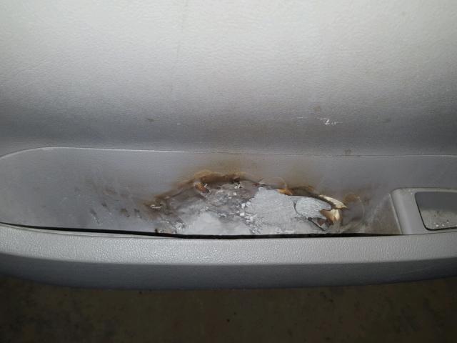 1GNDU231X8D211398 - 2008 CHEVROLET UPLANDER L 蓝色 照片 9