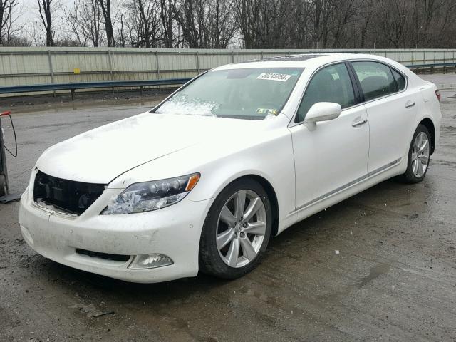 JTHDU46FX85003428 - 2008 LEXUS LS 600HL WHITE photo 2