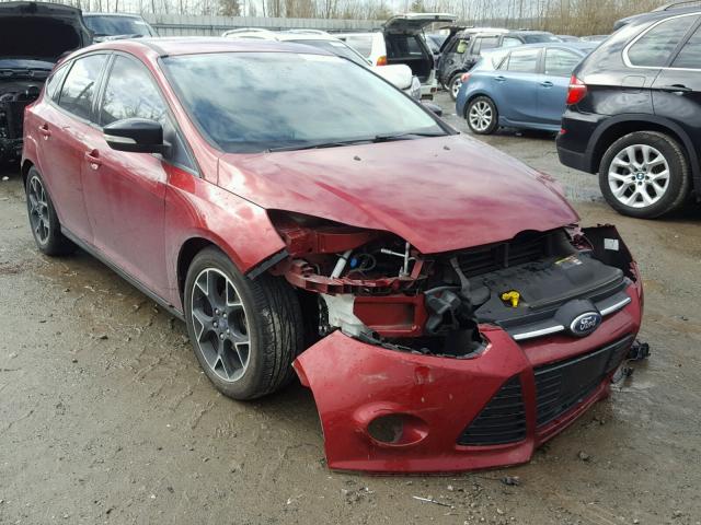 1FADP3K29EL112451 - 2014 FORD FOCUS SE RED photo 1