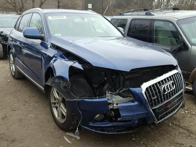 WA1LFAFP5DA061389 - 2013 AUDI Q5 PREMIUM BLUE photo 1