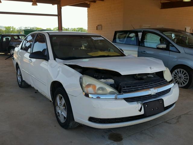 1G1ZT54835F142853 - 2005 CHEVROLET MALIBU LS 白色 照片 1