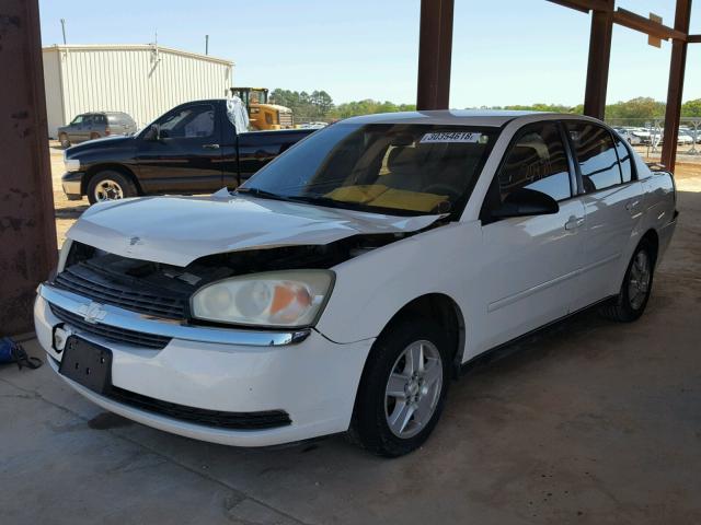 1G1ZT54835F142853 - 2005 CHEVROLET MALIBU LS 白色 照片 2