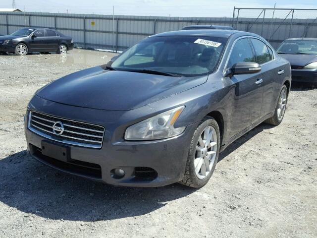 1N4AA5AP0BC813680 - 2011 NISSAN MAXIMA S GRAY photo 2