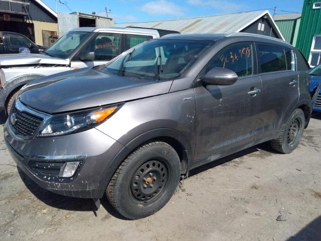 KNDPCCAC7G7867896 - 2016 KIA SPORTAGE E GRAY photo 2