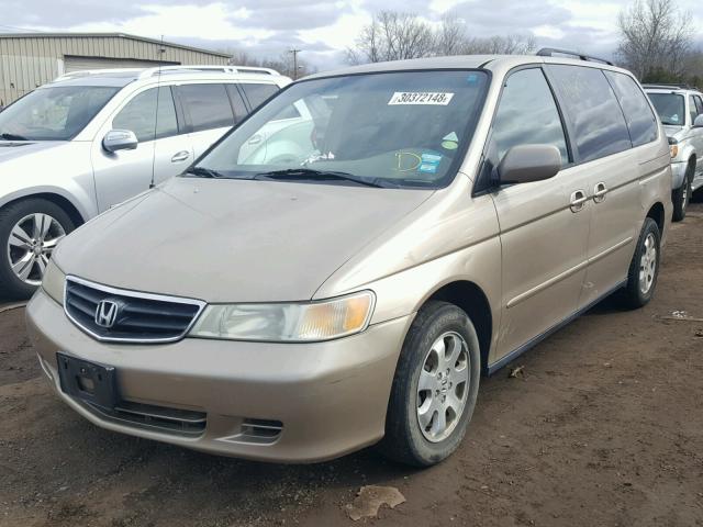 5FNRL18612B007640 - 2002 HONDA ODYSSEY EX GOLD photo 2