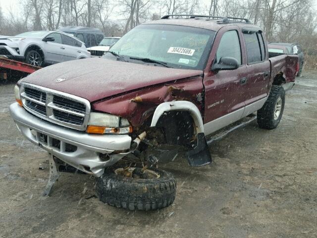 1B7HG48N12S670430 - 2002 DODGE DAKOTA QUA MAROON photo 2