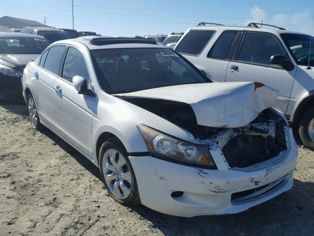 5KBCP3F82AB005471 - 2010 HONDA ACCORD EXL WHITE photo 1