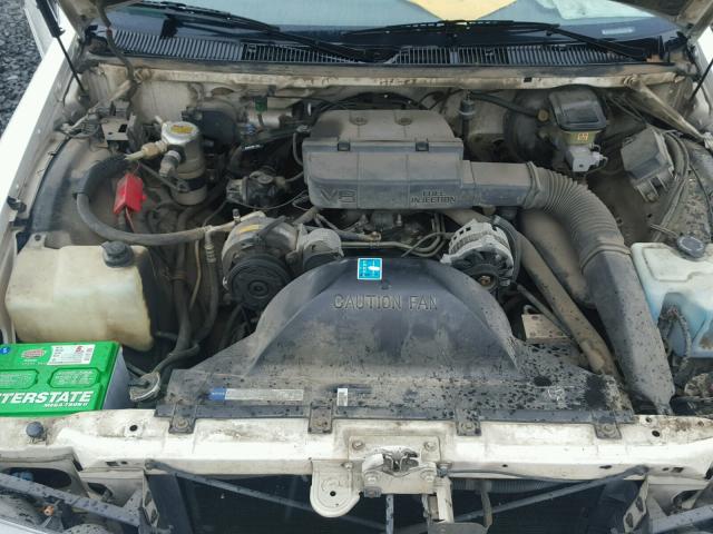 1G1BL53E5MW188966 - 1991 CHEVROLET CAPRICE WHITE photo 7