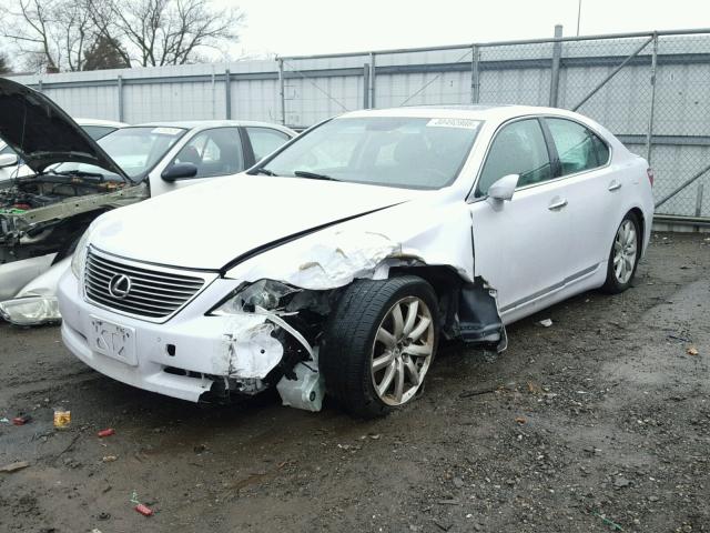 JTHBL46FX85054101 - 2008 LEXUS LS 460 WHITE photo 2