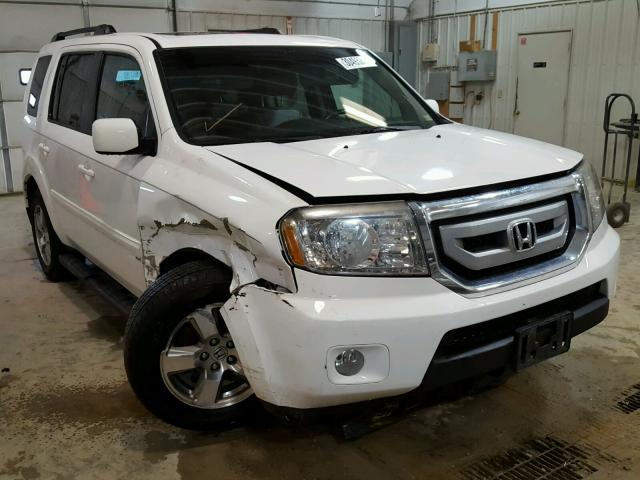 5FNYF3H57BB049851 - 2011 HONDA PILOT EXL WHITE photo 1