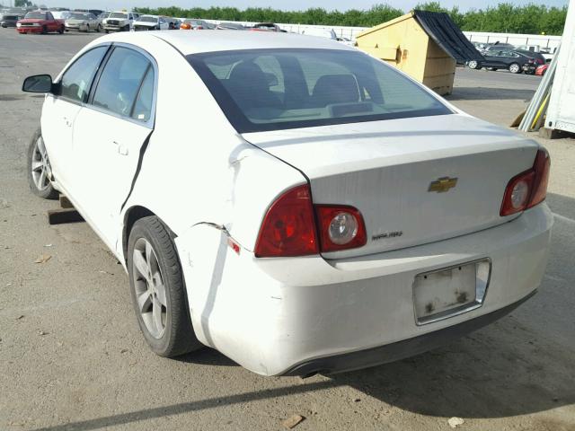 1G1ZA5EBXAF306500 - 2010 CHEVROLET MALIBU LS თეთრი ფოტო 3
