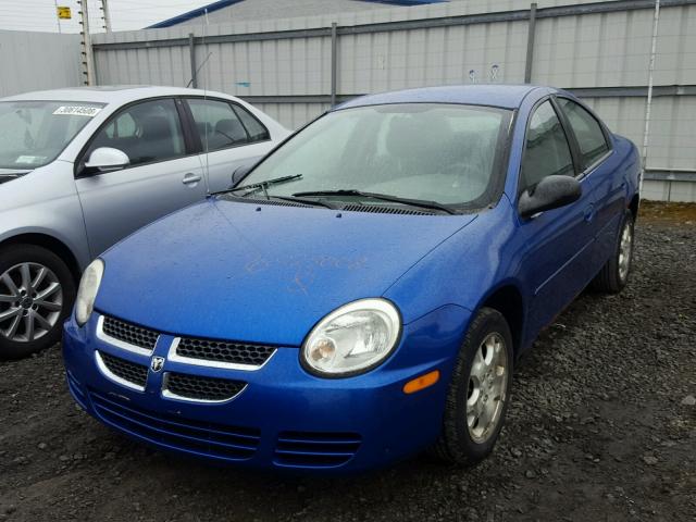 1B3ES56C55D110249 - 2005 DODGE NEON SXT BLUE photo 2